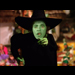 Obama Witch